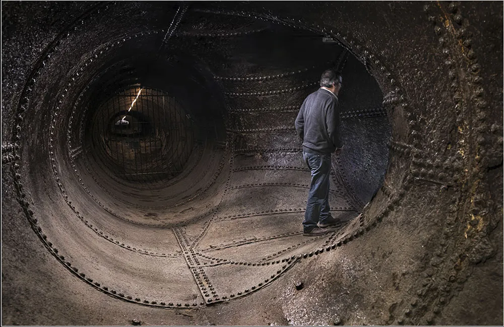 2n Premi. "Tub" de Carles Alasraki Alberti